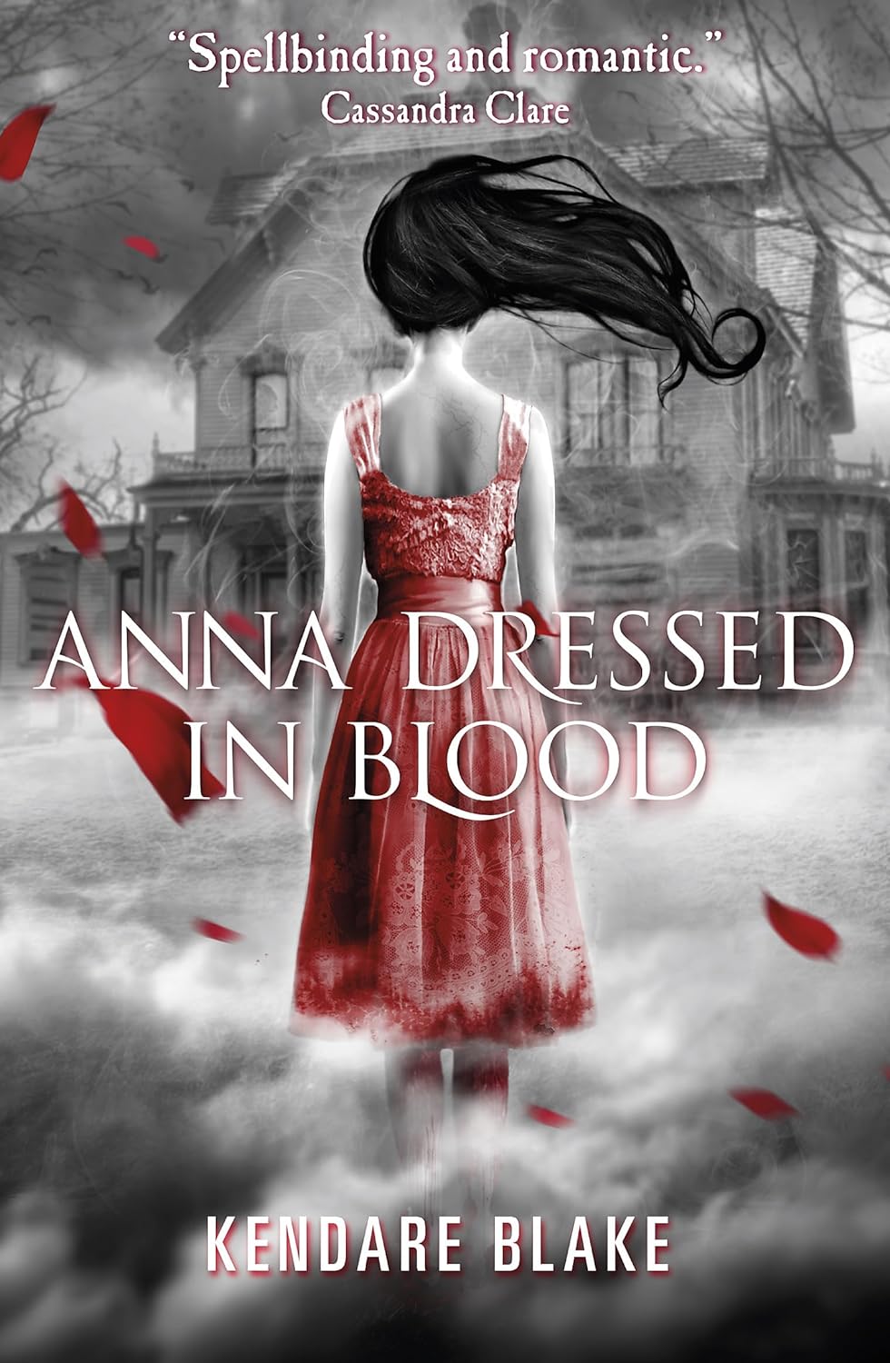 Cover »Anna Dressed in Blood«