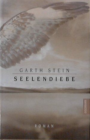 Cover »Seelendiebe«